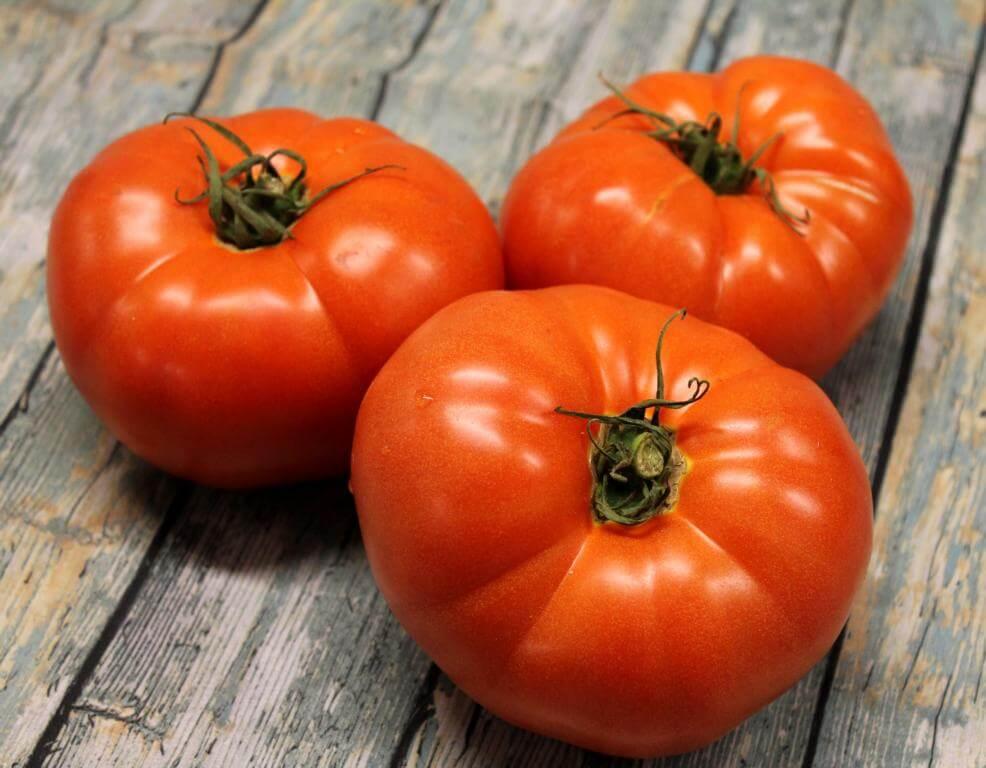 Fleischtomaten Rezepte | issgesund.de